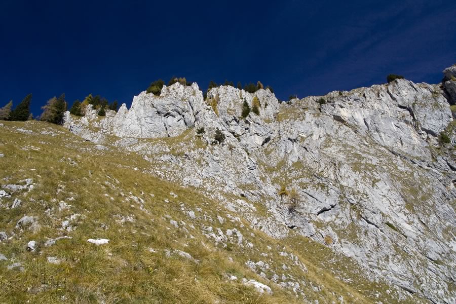 Oddih pod zadnjim delom