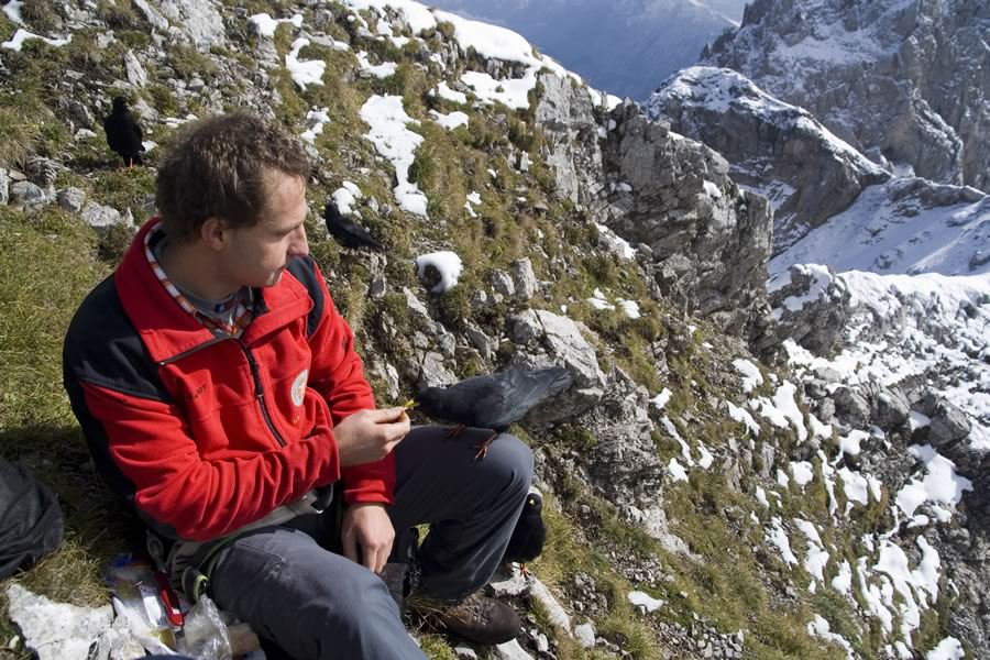 Vrsta za slastni kačkavalj