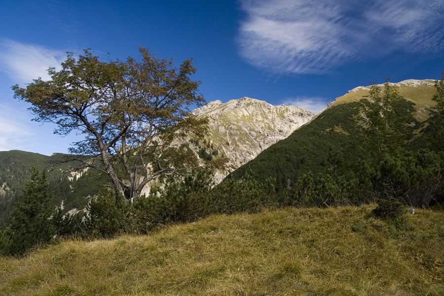 Kreuzspitze in Kreuzspitzl