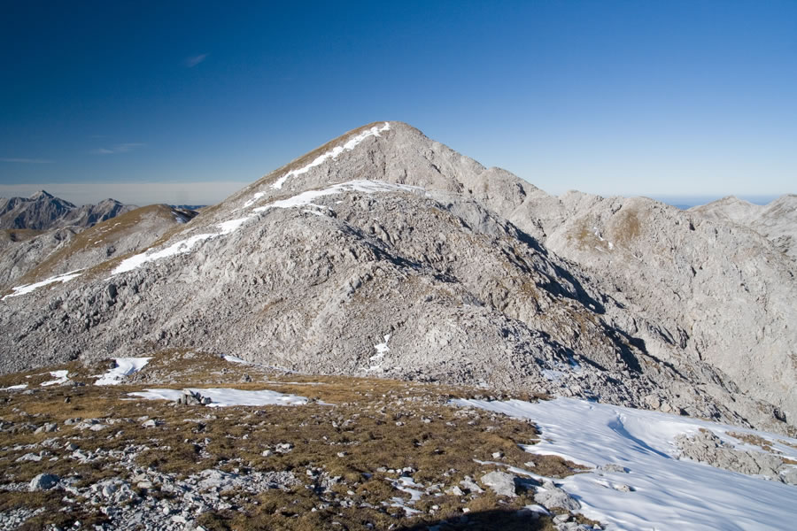 H�hnerkrallkopf