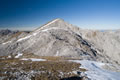 H�hnerkrallkopf