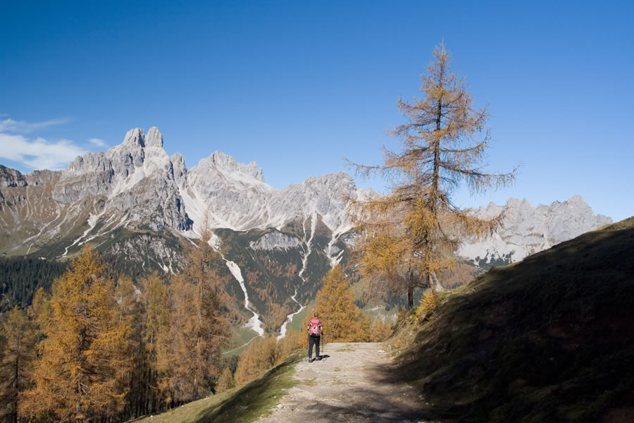 Bischofsm�tze, Armkarwand Gosaustein