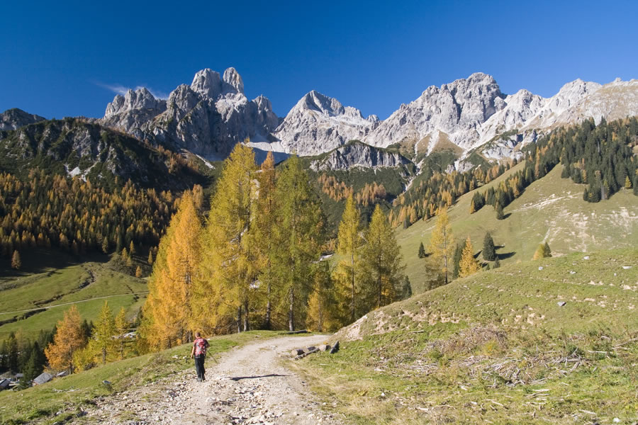 Hofalm, Bischofsm�tze, Armkarwand, Steiglkogel