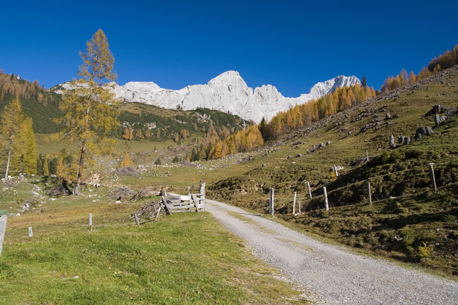 Hofalm, Hochkesselkopf, Eiskarlspitz, Torstei