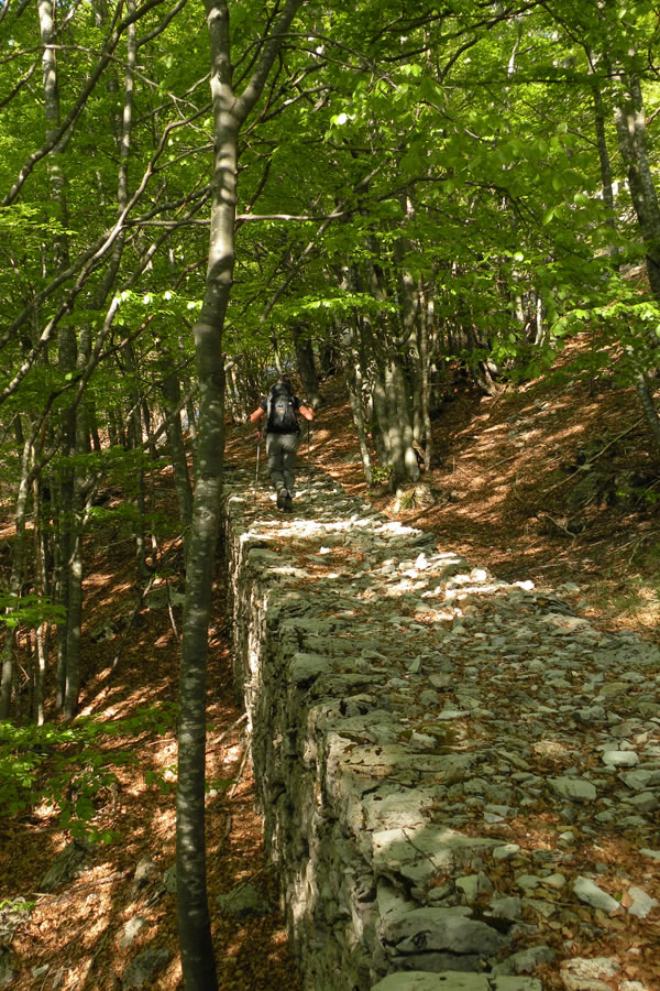 Po tlakovani poti proti sedlu Foca del Frate