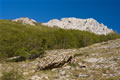Pizzo d'Uccello