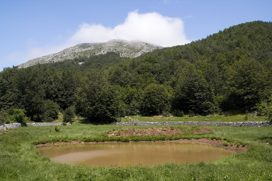 Gonđuša in Velika Vlajna