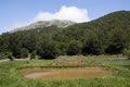 Gonđuša in Velika Vlajna