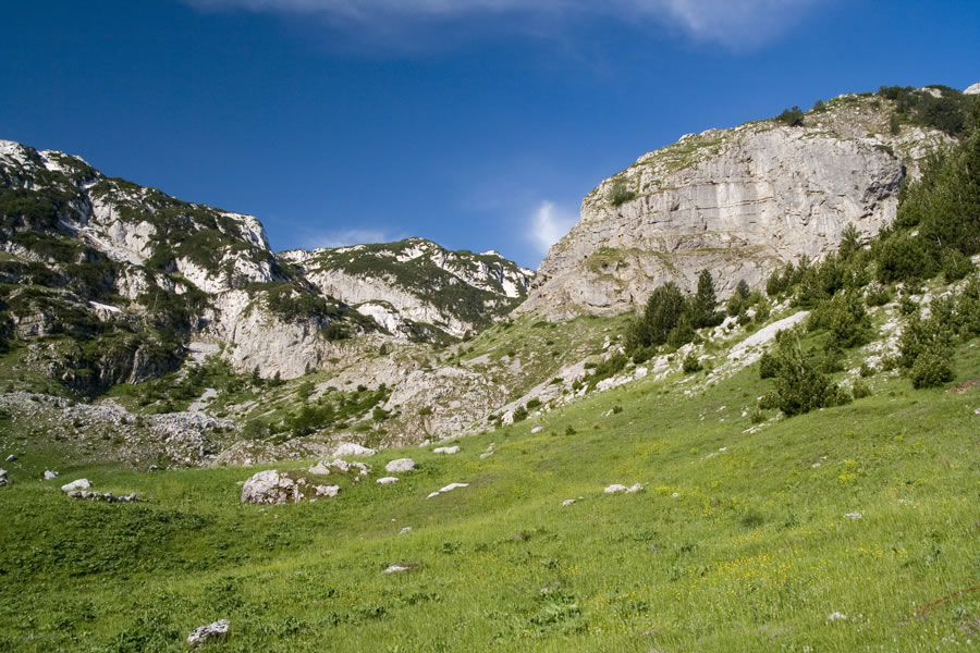 Planina Tisovica