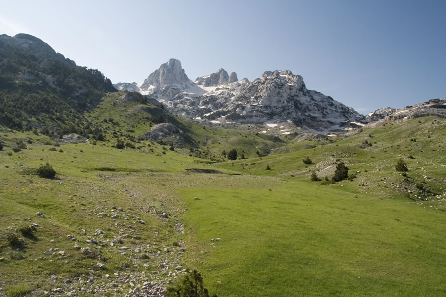 Otiš, Zelena glava, Mali Otiš