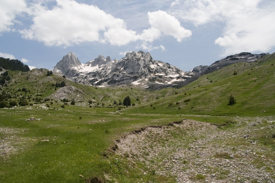Otiš, Zelena glava, Mali Otiš