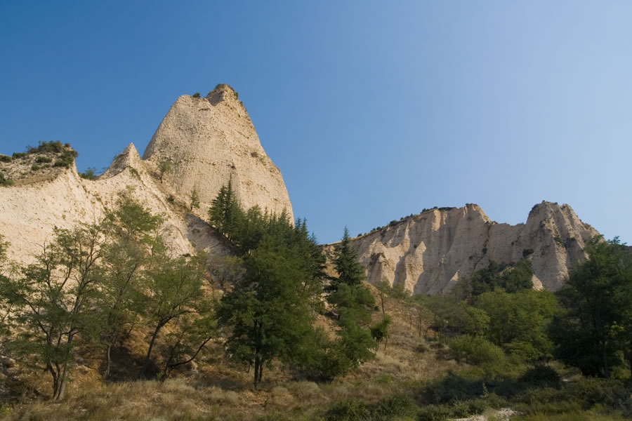 Melnik