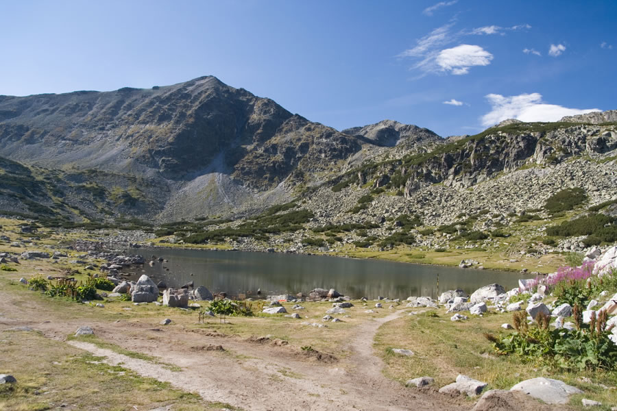 Ireček in Musala od koče Musala