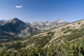 Sivria, Kamenica, Džangal