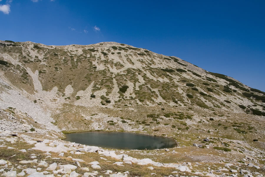 Todorini oči, Todorka