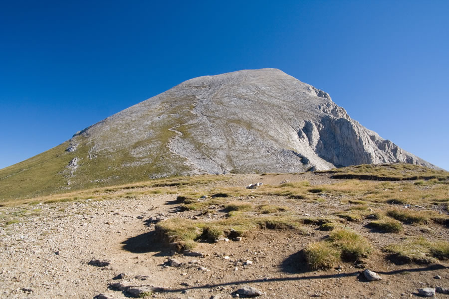 Vihren