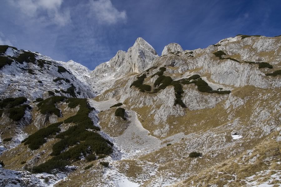 Vrh Hribaric in Škednjovec