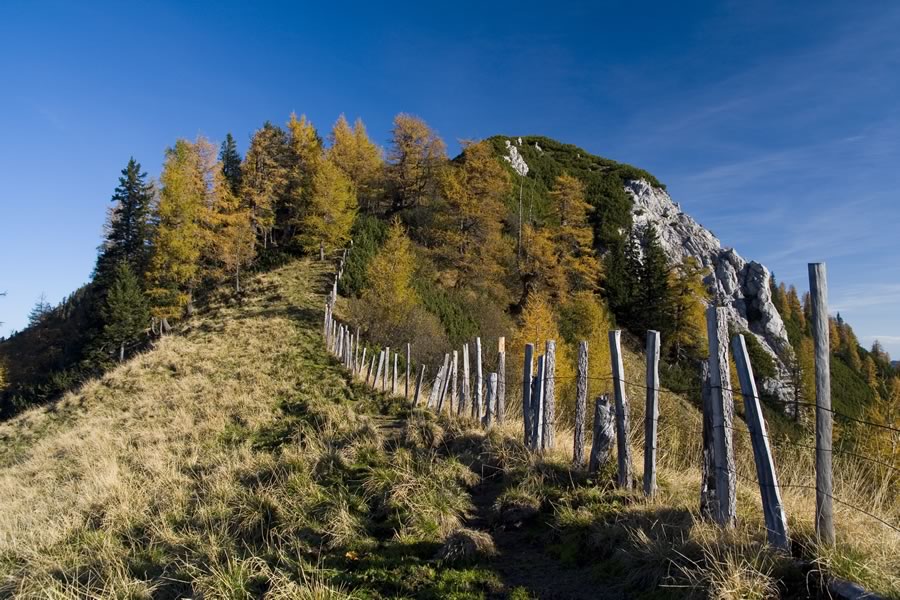 Lokovnikov Grintavec