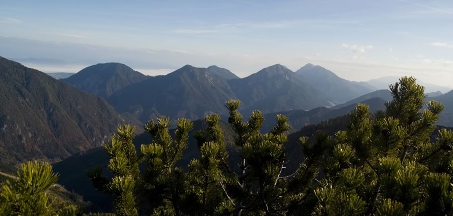 Macna, Javornik, Črni vrh, Setiče in Obir