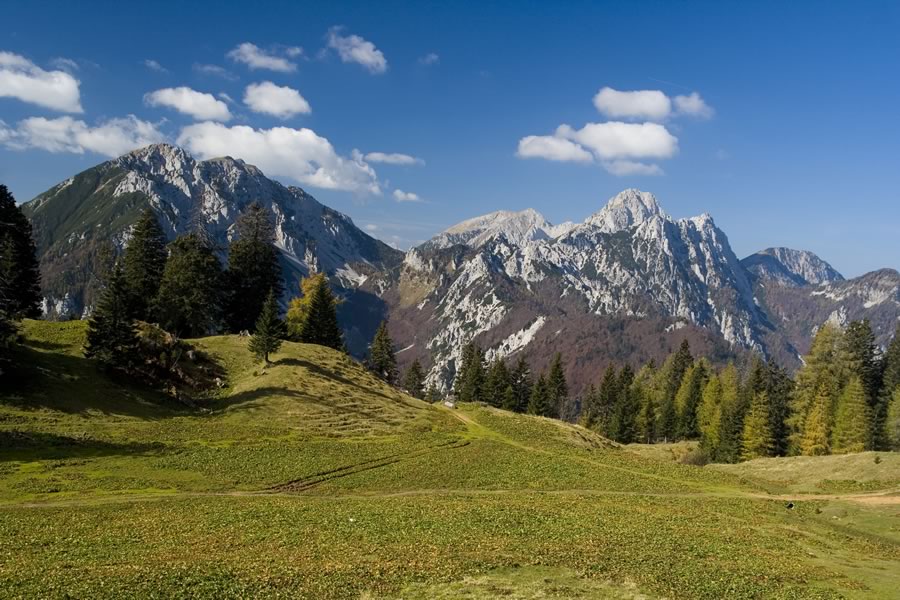 Begunjščica, Stol, Vrtača, Palec in Kozjak