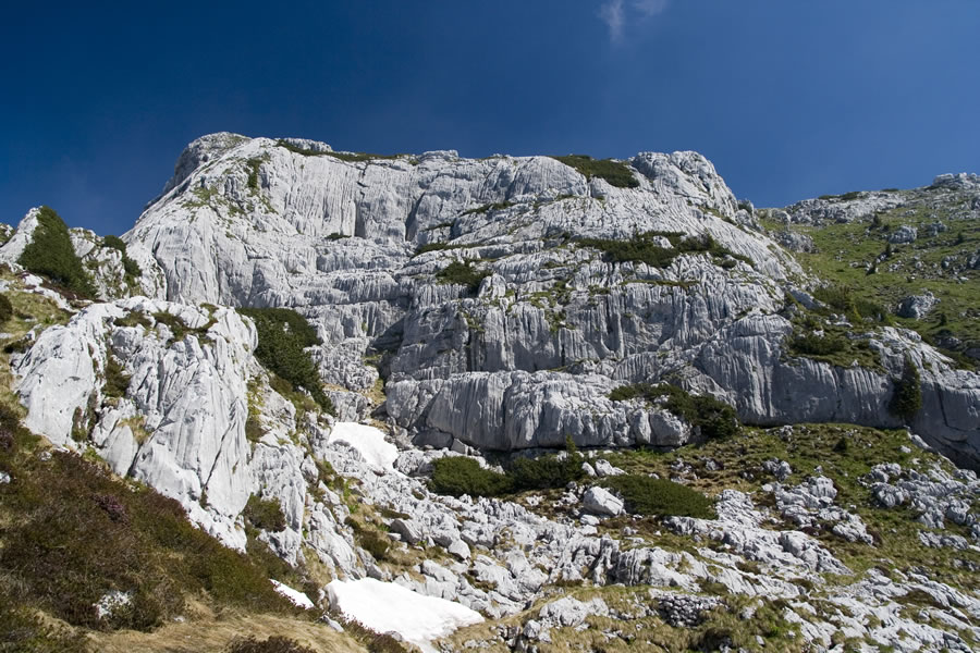 M. Babanski Škedenj