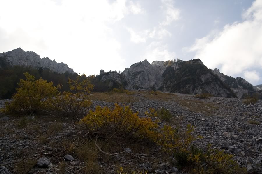 Uvod
