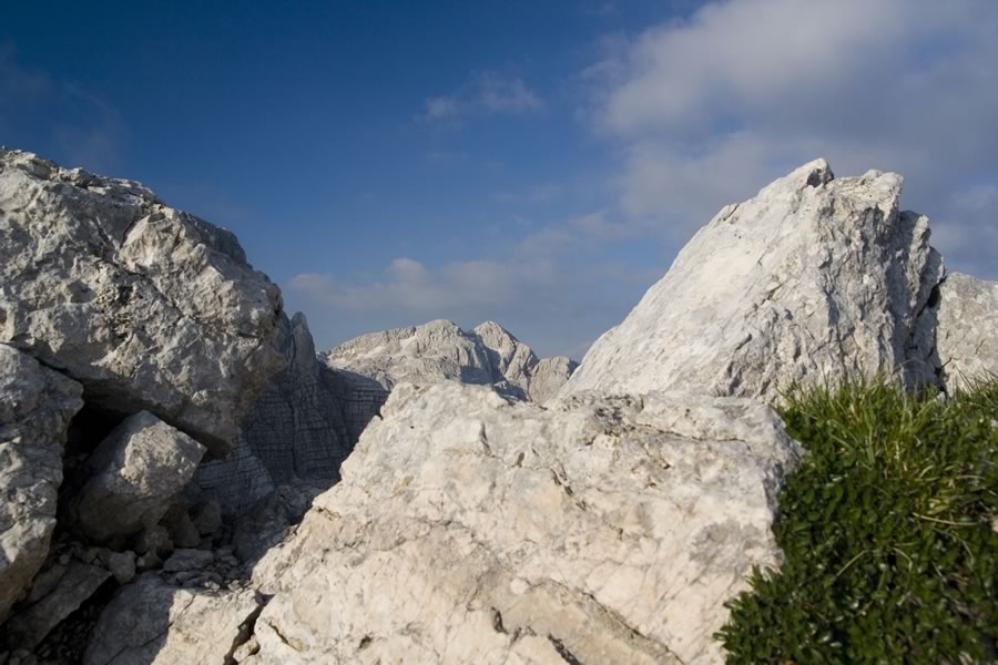 Kanjavec
