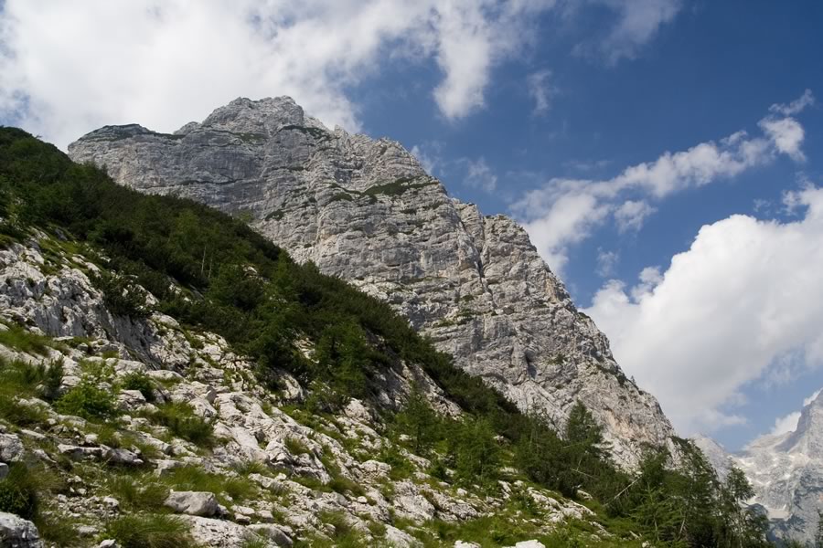 Nad Kuhinjo špica
