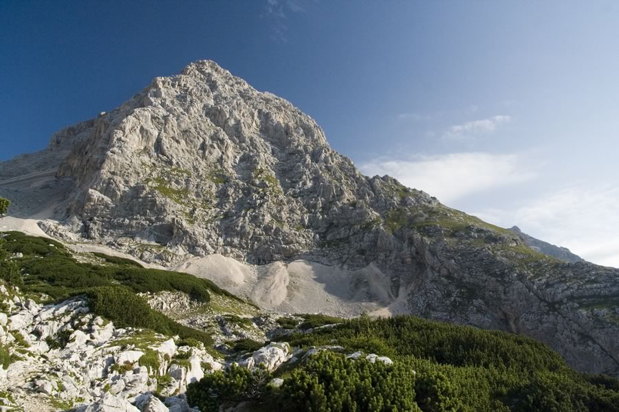 Dolkova špica z grebenom