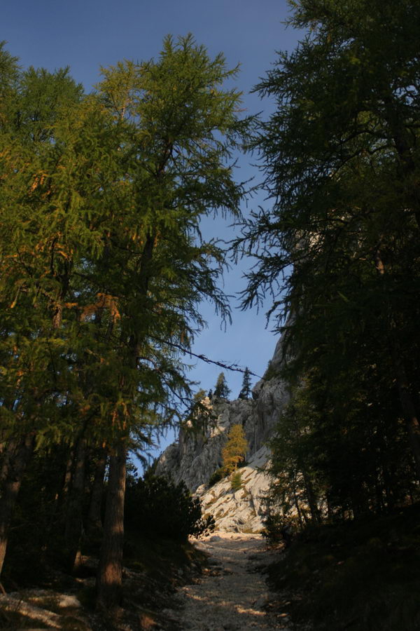 Grapa nad Rdečim potokom