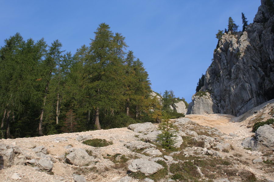 Melišča...
