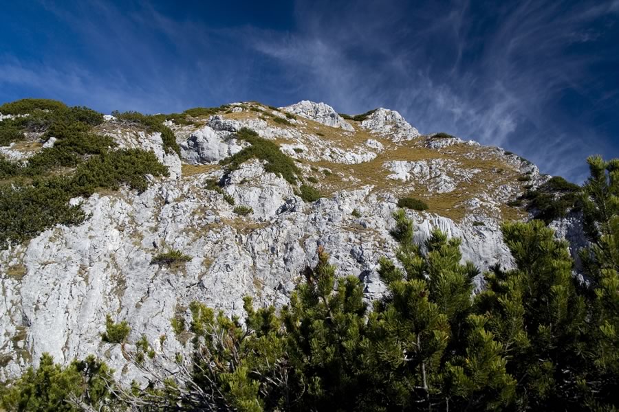 Vršno pobočje Goličice