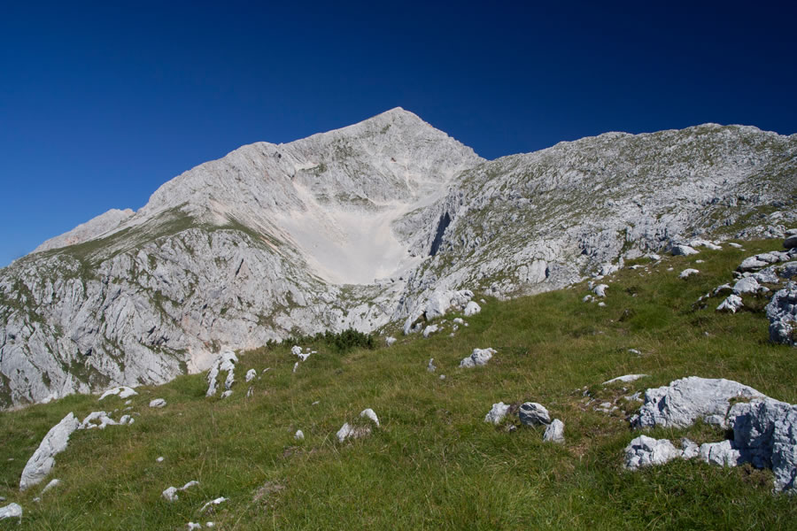 Grintovec