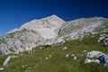 Grintovec