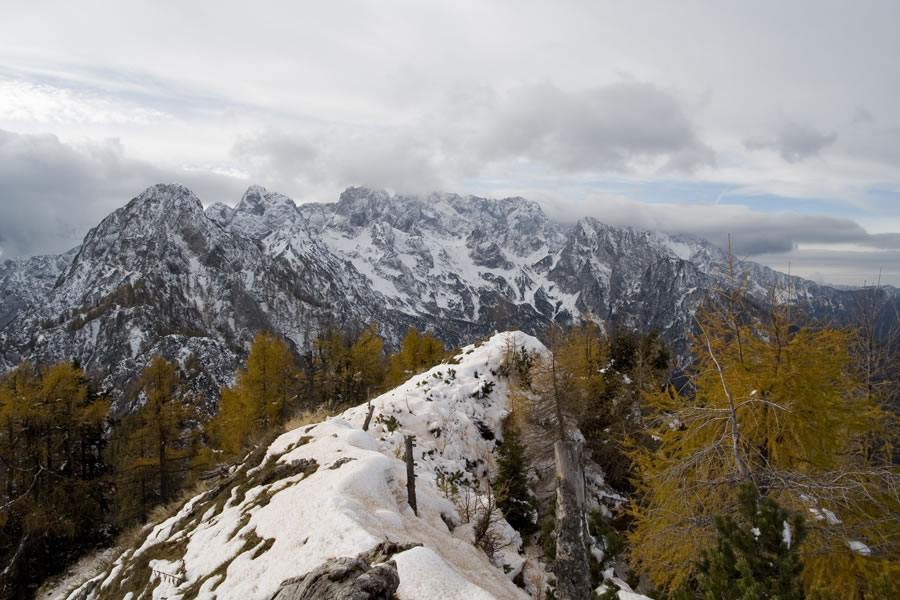 Kamniške z Jerebičja