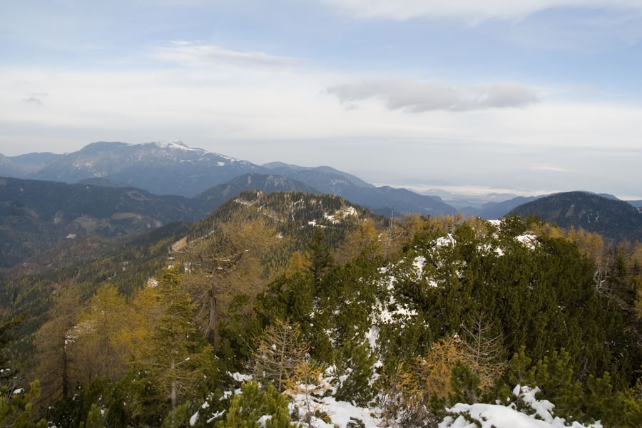 Obir, Pavličeve stene