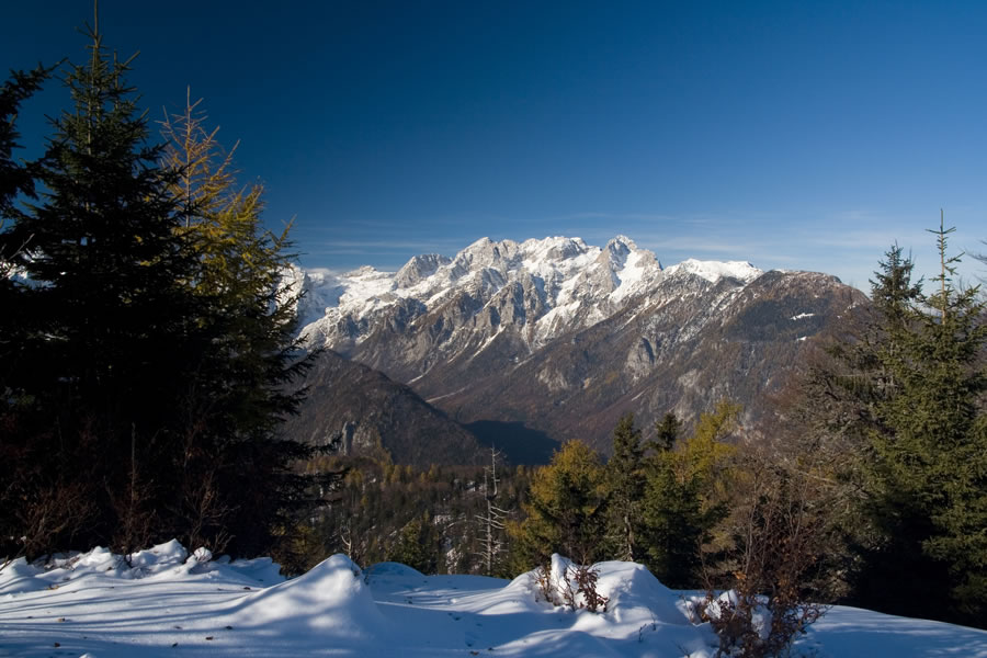 Martuljške gore