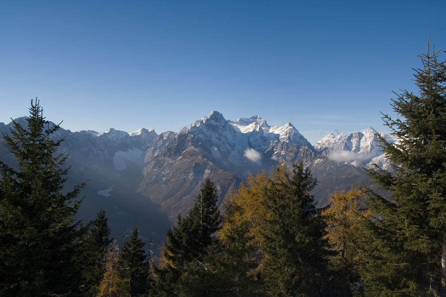 Rjavina, Triglav, Cmir