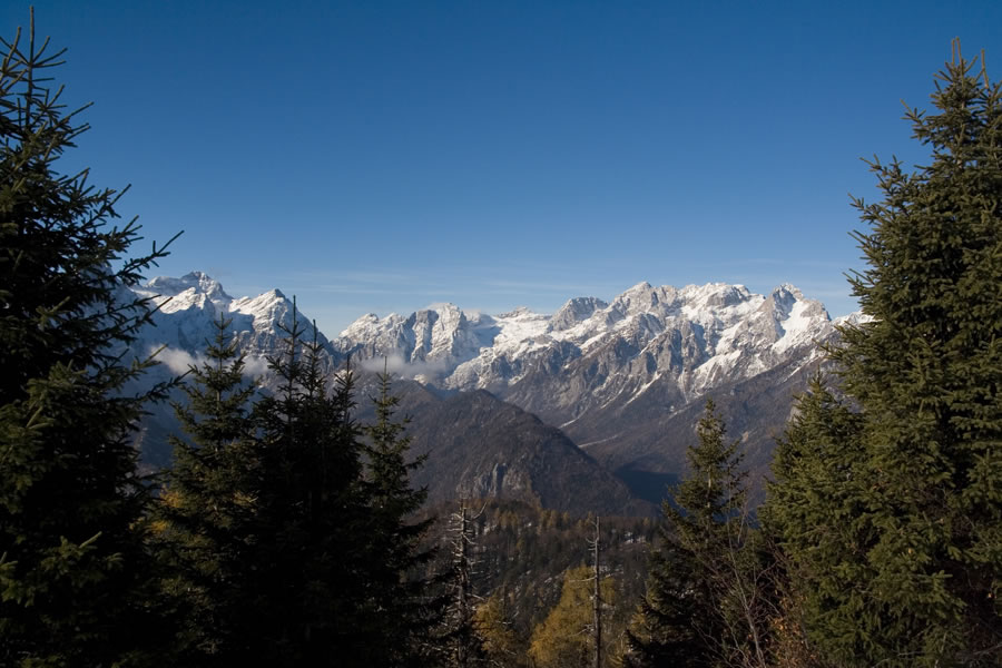 Stenar, Martuljške gore