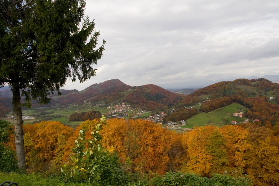 Gorica pri Slivnici