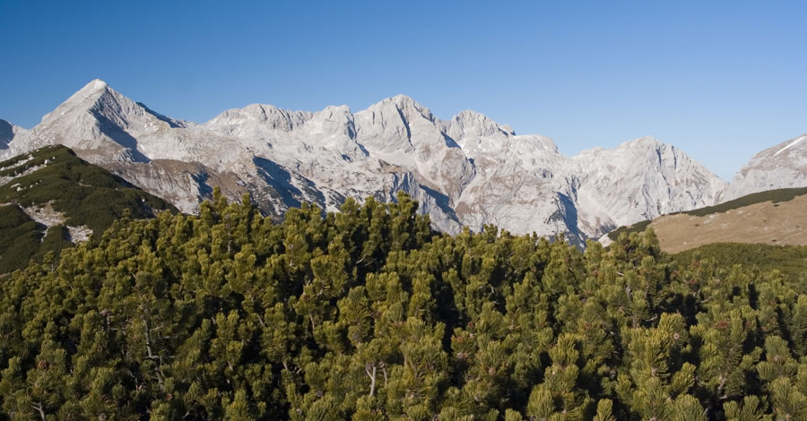 Kamniške od Grintovca do Turske gore