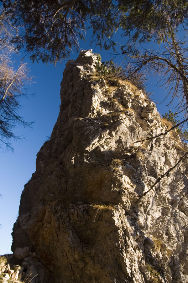 Dedec pod Košutno