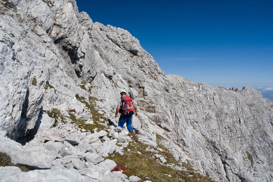 Proti V koncu špici