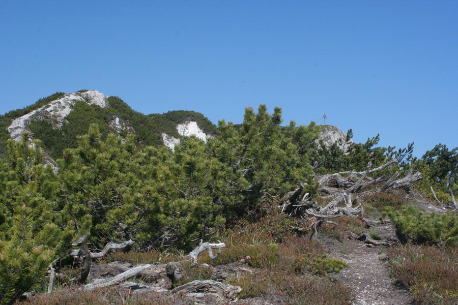 Kresišče