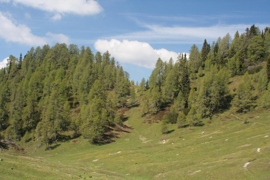 Ob poti proti Trupejevem poldnevu
