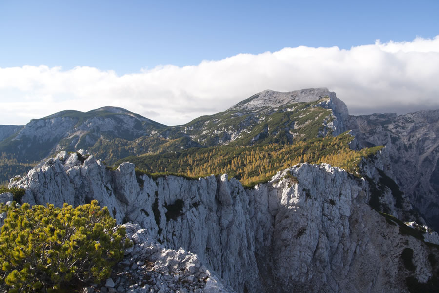 Dleskovec, Veliki vrh, Velika Zelenica