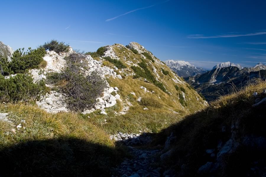 Veliki Šmohor