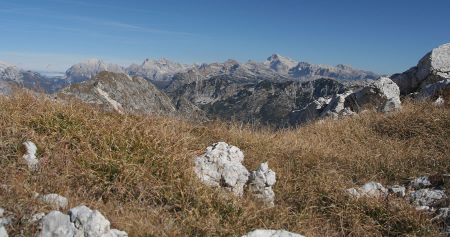 Prisank, Razor, Stenar, Triglav, Lemež in ostali