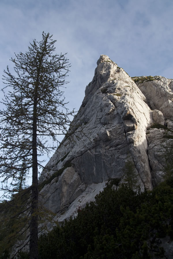 Krofičkin stolp