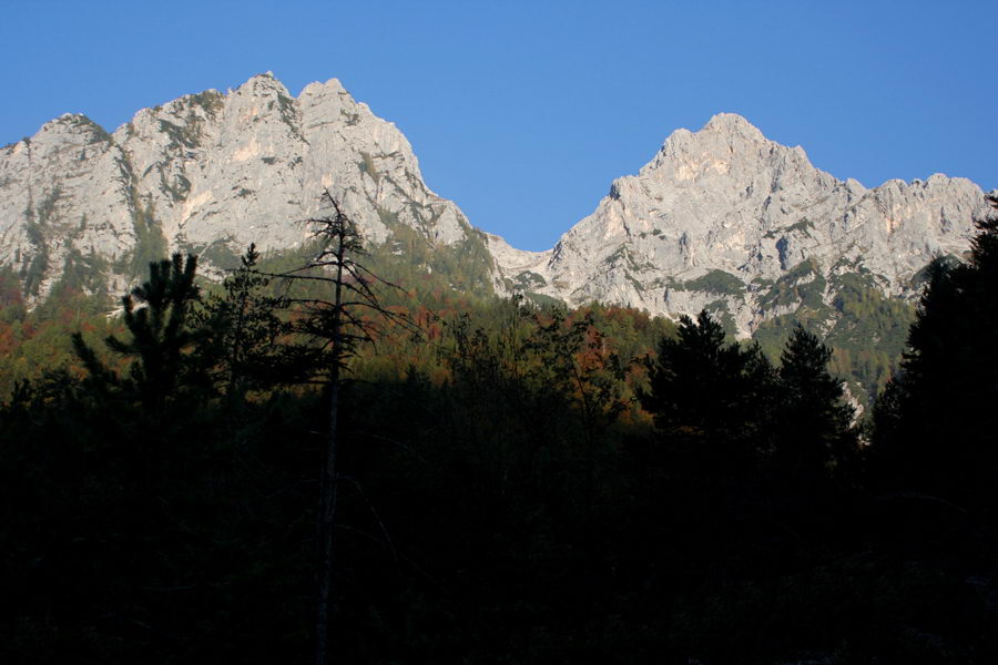 Tičarica in Kukova špica